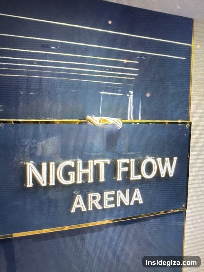 Night Flow Arena - نايت كلوب ديسكو ارينا