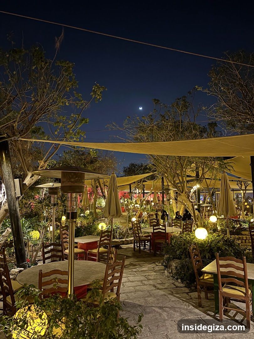 Outdoor Night Dining Scene