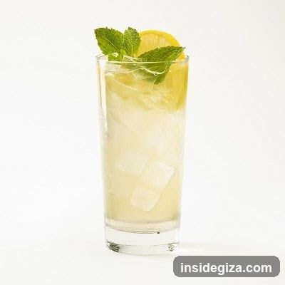 Lemon Mint Cocktail