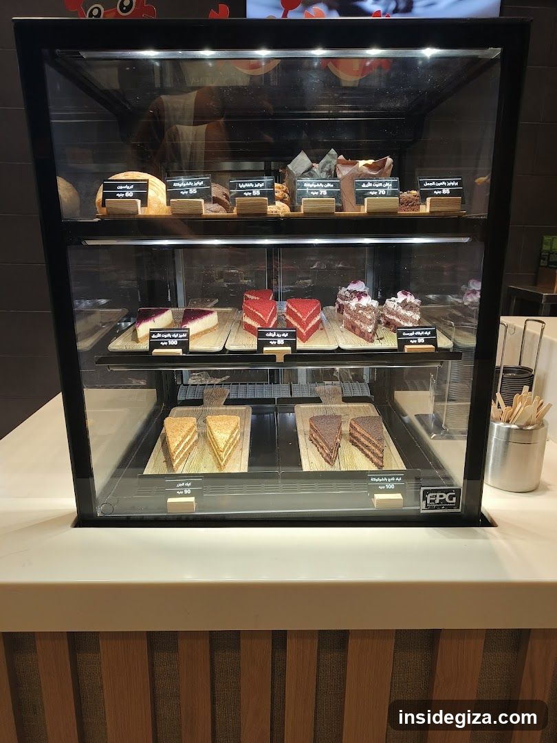 Cake Display Case